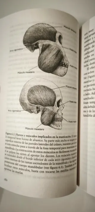 La especie elegida Juan Luis Arsuaga