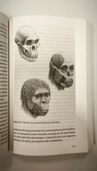 La especie elegida Juan Luis Arsuaga