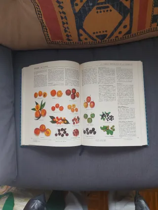 Como elegir, preparar, cocinar y servir