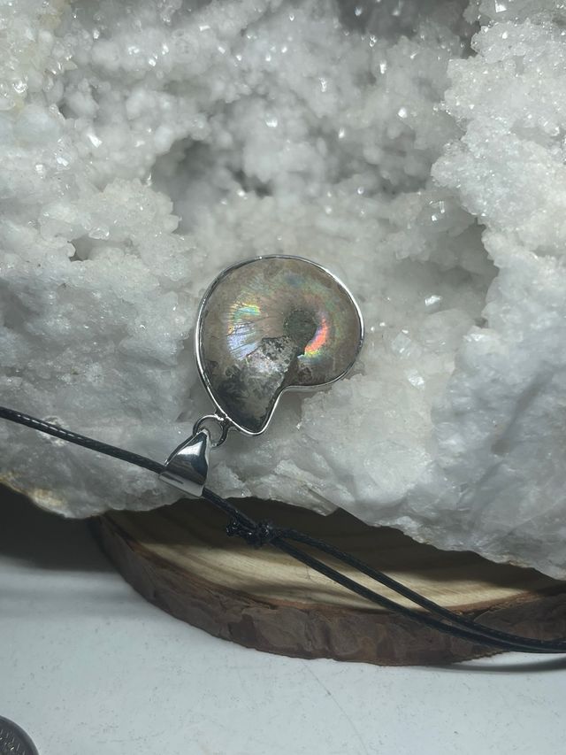 Ciondolo Amonite Lucidato