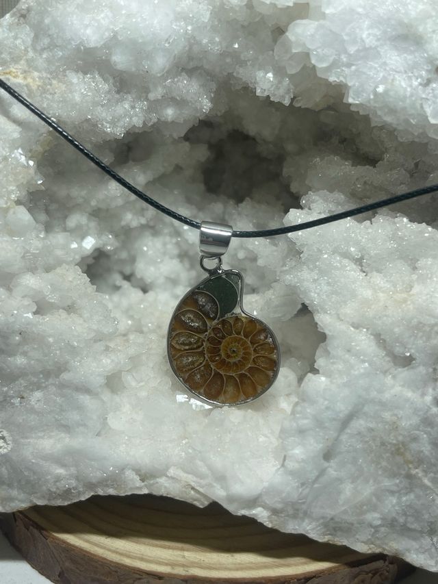 Ciondolo Amonite Lucidato