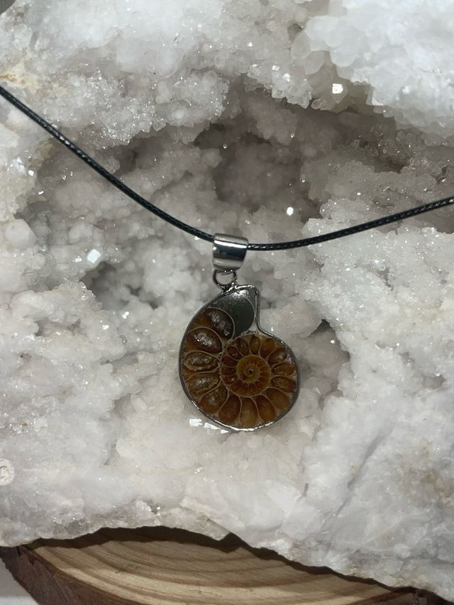 Ciondolo Amonite Lucidato