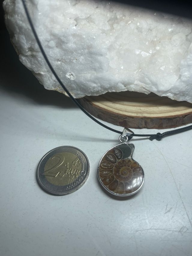 Ciondolo Amonite Lucidato