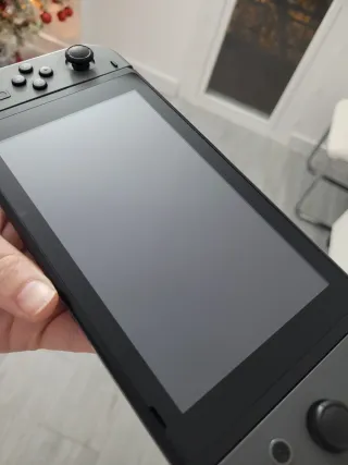 Nintendo Switch Gris