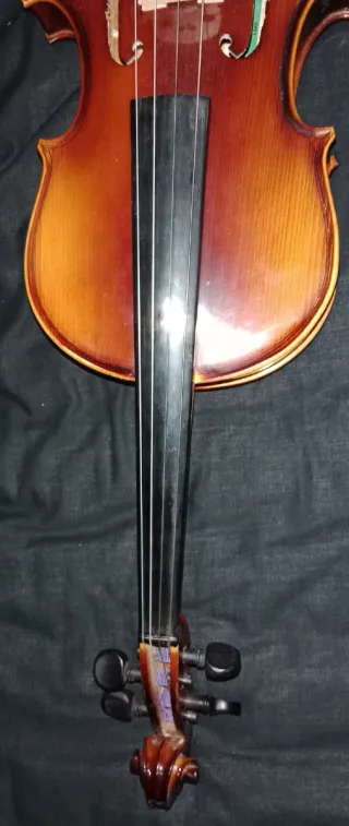 Viola Lark con cuerdas Dominant