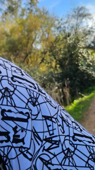 Camiseta MANGA CUÁNTICA