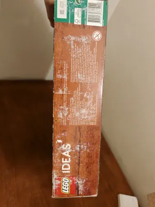 LEGO Ideas Once Upon a Brick 21315