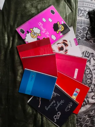 Lote de libretas escolares