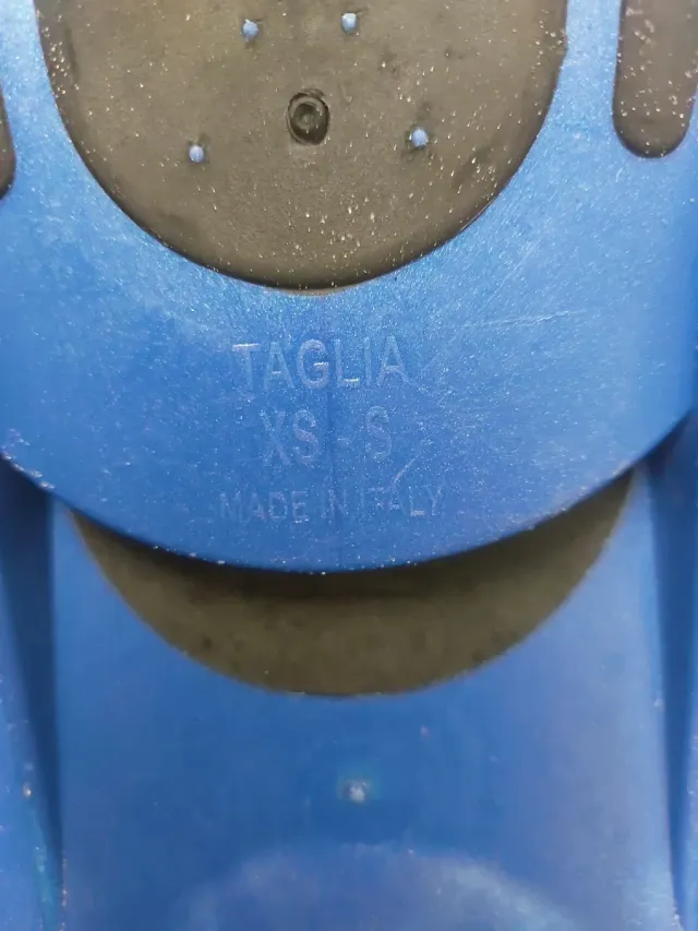 Traje neopreno corto, aletas y gafas