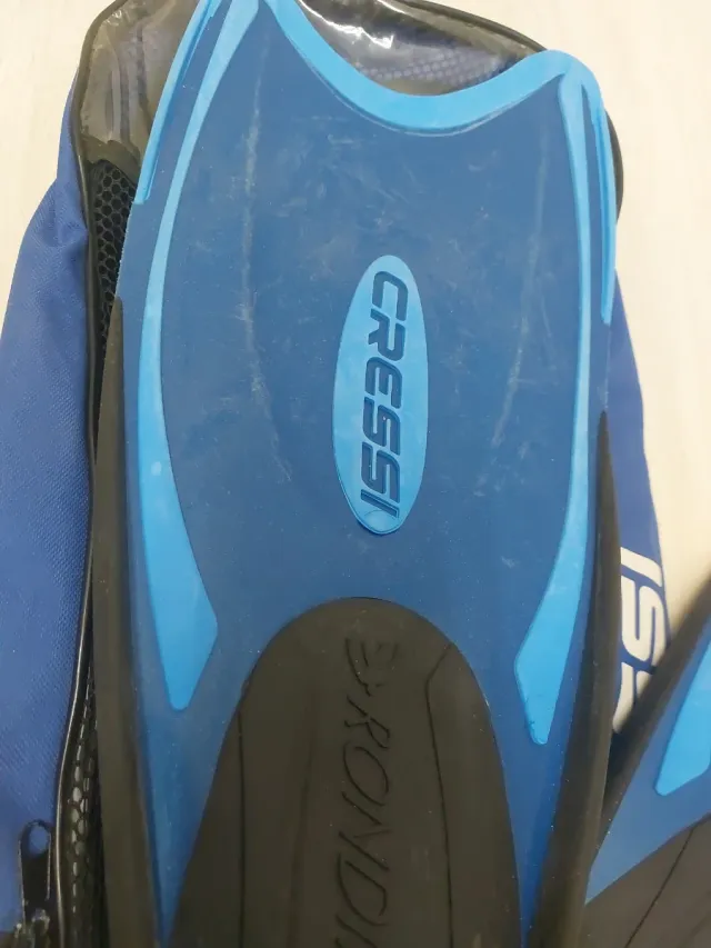 Traje neopreno corto, aletas y gafas