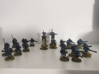 23 Guerreros Fuego Tau + 4 Drones