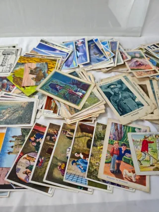 Lote Cromos Amatller Juncosa Gallicromo. 298 unida