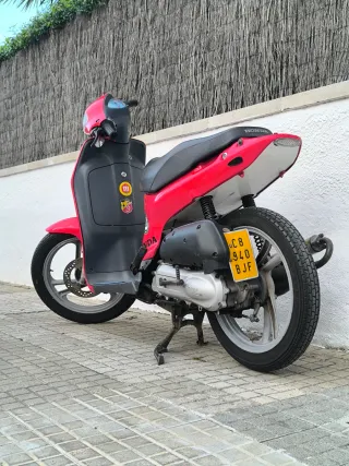 Honda Scoopy 49cc
