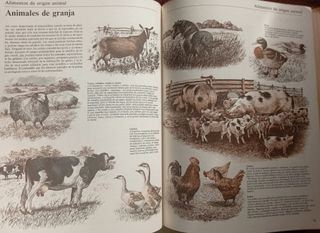 Guía práctica ilustrada para el campo