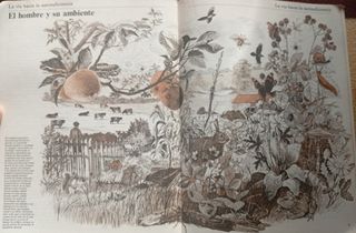 Guía práctica ilustrada para el campo