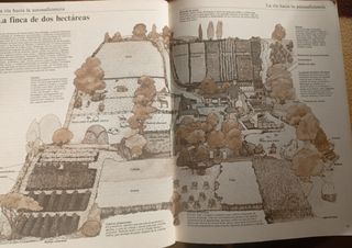 Guía práctica ilustrada para el campo