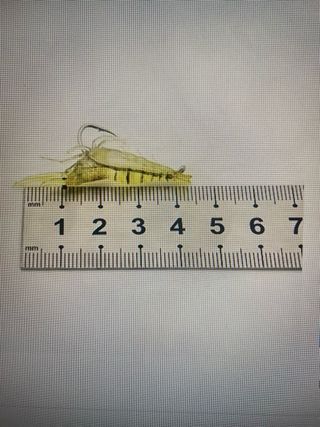 10 señuelos de pesca con anzuelo