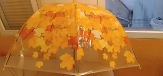 Paraguas transparente con hojas de otoño