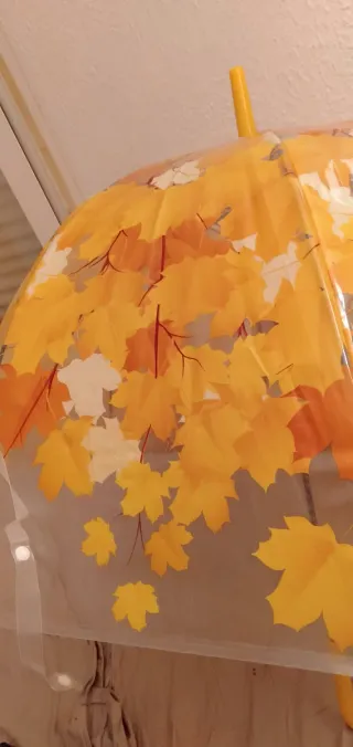 Paraguas transparente con hojas de otoño