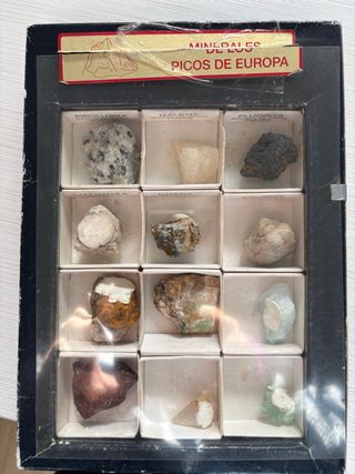 Collezione Minerali Picchi d'Europa