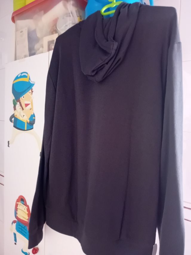 Sudadera ROLLINGS con gorro TL