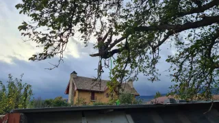 Poda y tala en altura y jardinería