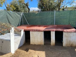 CUIDADOR DE PERROS CON PERRERA Y FINCA