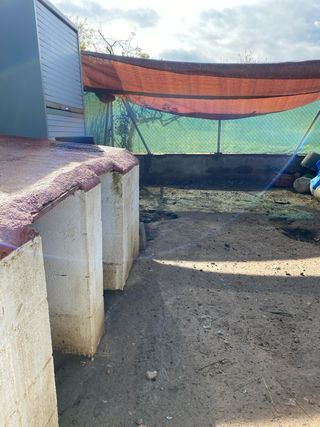 CUIDADOR DE PERROS CON PERRERA Y FINCA