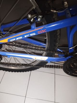 Bicicleta Montagna Freerider FS