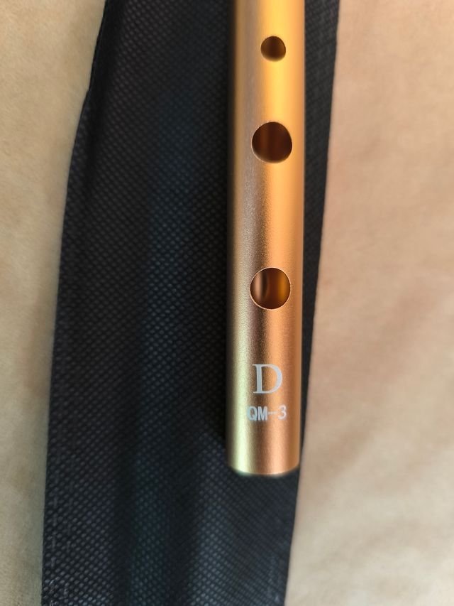 Flauta irlandesa en Re (D) con funda - Níquel