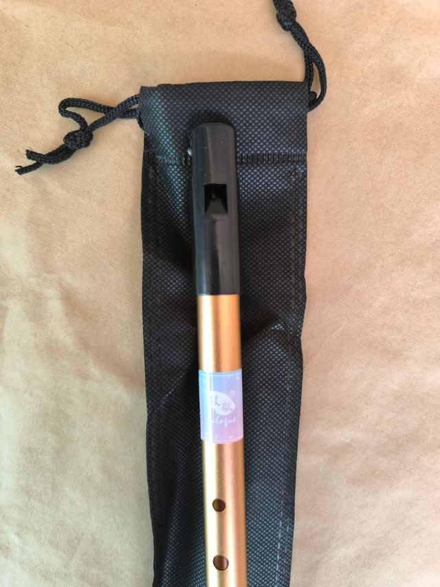 Flauta irlandesa en Re (D) con funda - Níquel