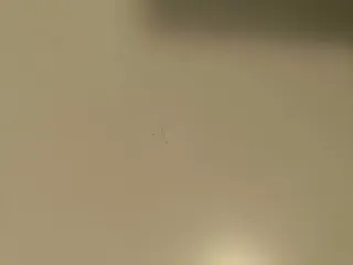 Escritorio patas regulables en altura