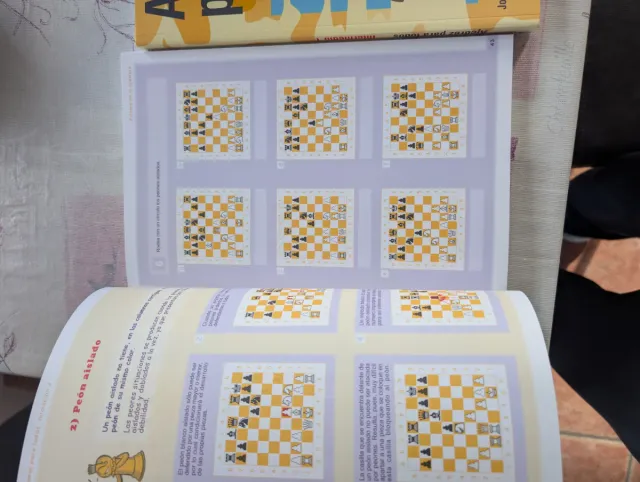 Lote 2 libros Ajedrez para todos impecables