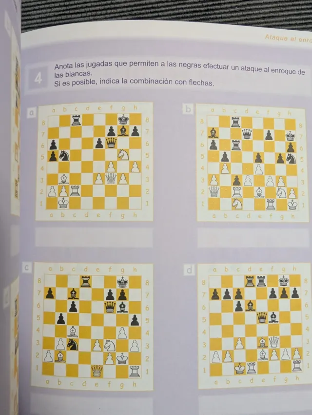 Lote 2 libros Ajedrez para todos impecables