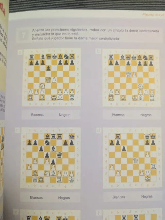 Lote 2 libros Ajedrez para todos impecables