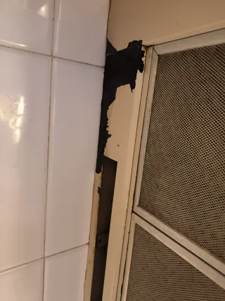 Campana extractora de cocina