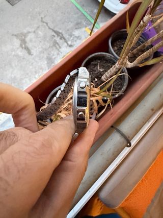 Citizen P100 Multi Alarm