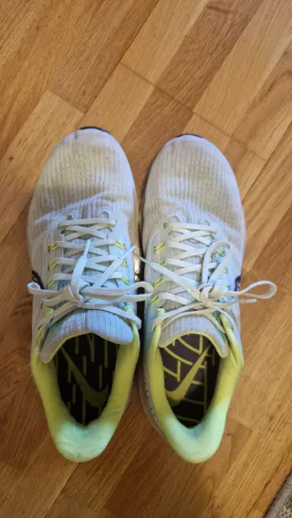 Nike Pegasus Verde/Azul