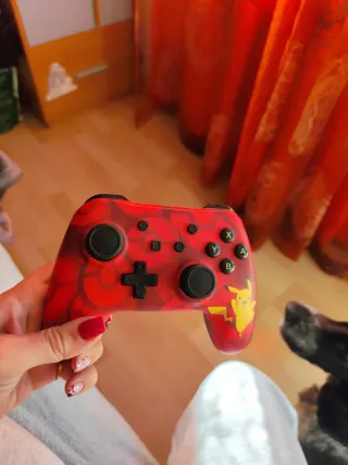 Mando Nintendo Switch Pokémon