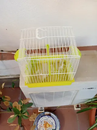 Jaula para pájaros blanca y verde