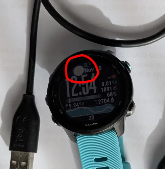 Garmin Forerunner 245 Music Azul