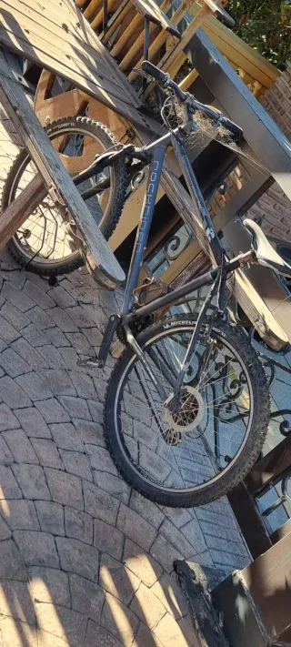 Bicicleta de montaña