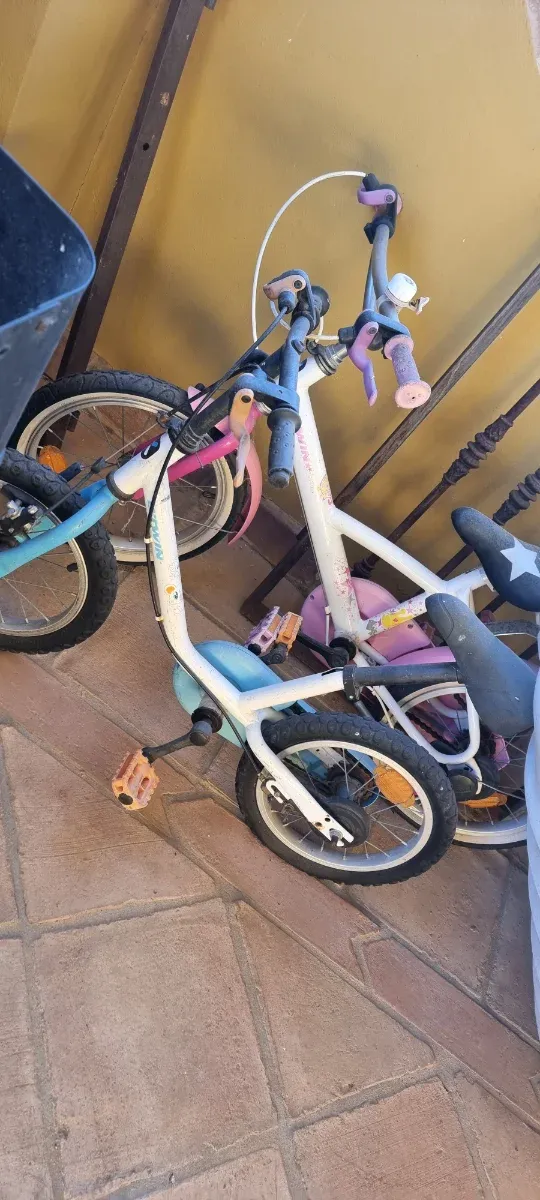 Bicicleta de montaña