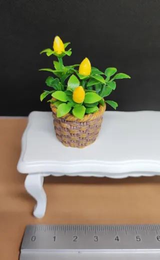 Pianta di Limone in Miniatura in Cestino per Casa delle Bambole
