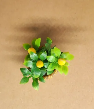 Pianta di Limone in Miniatura in Cestino per Casa delle Bambole