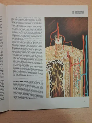 Moderna guida medica volume 1 - 1967