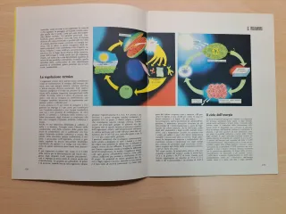 Moderna guida medica volume 1 - 1967