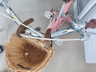 Bicicleta Bobbin 16 niña