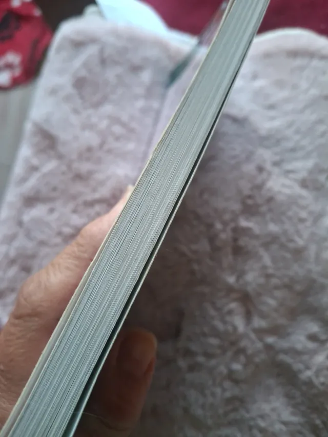 Premio EDEBÉ 2013 (XXI edición) Infantil: MOLSA