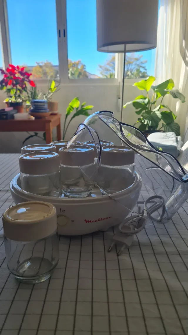 Yogurtera Moulinex Yogurta 7 Vasos